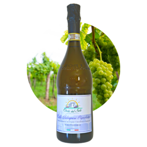 Pignoletto DOCG