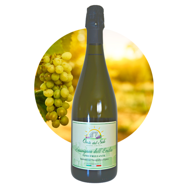Sauvignon Frizzante