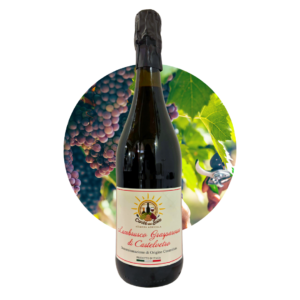 Lambrusco Grasparossa di Castelvetro